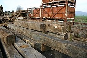 Bilder der aktuellen Lieferung Eichenbalken