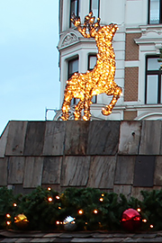 Anders: Alte Eiche postmodern