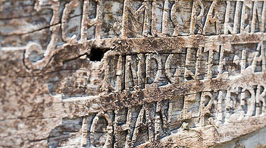 Wettbewerb Fehlertrüffelsuche auf der neuen Website