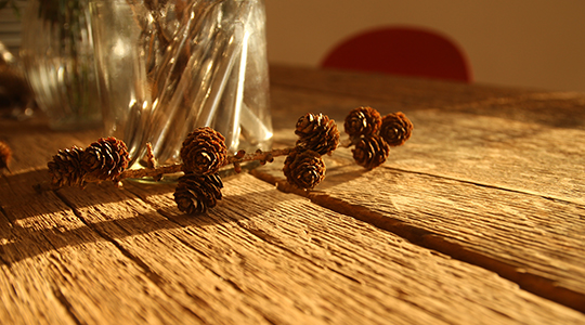 Unsere Möbel sind wieder da!