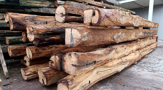 Tolles Holz aus südwestlicher Richtung