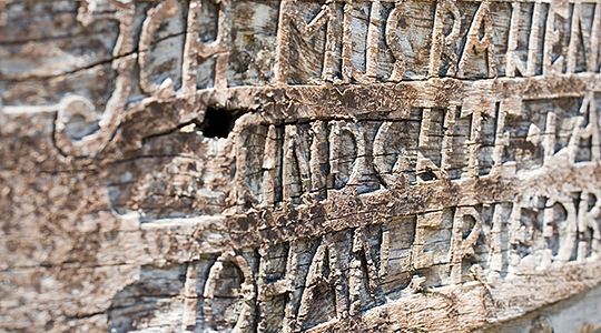 Umsatzzuwachs trotz Corona