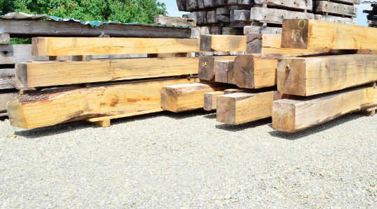 Seit Neuestem auch “neue” Eiche